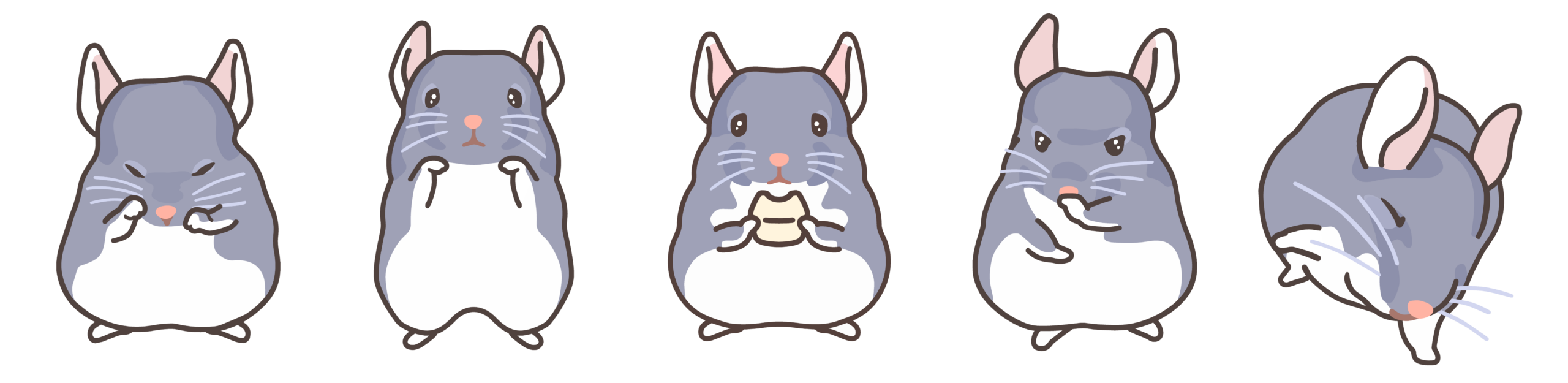 チンチラと暮らす- チンチラケアガイド –