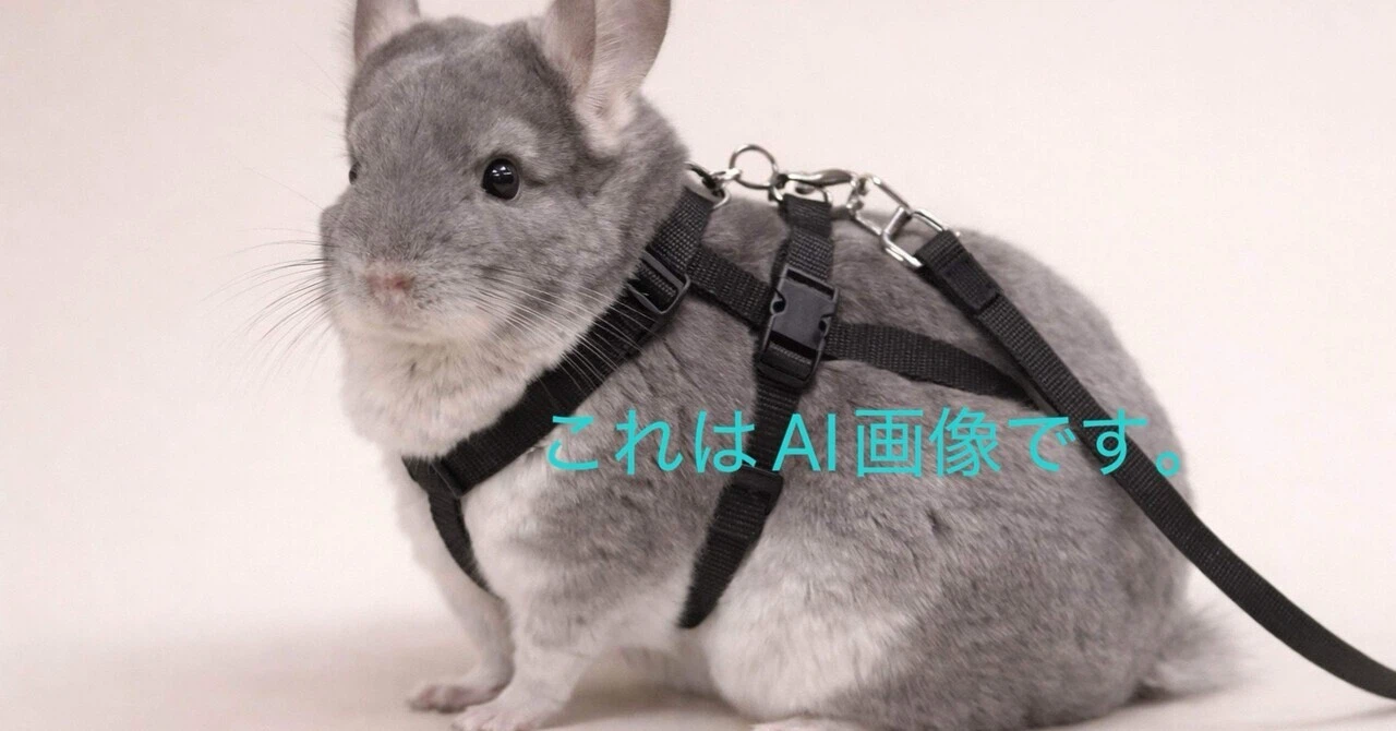 良かれと思ってが危険に？チンチラの特性とハーネスの相性が悪い理由